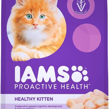 Dry Cat Food Chicken Iams Proactive Health Kitten Dry Cat Food Chicken Recipe