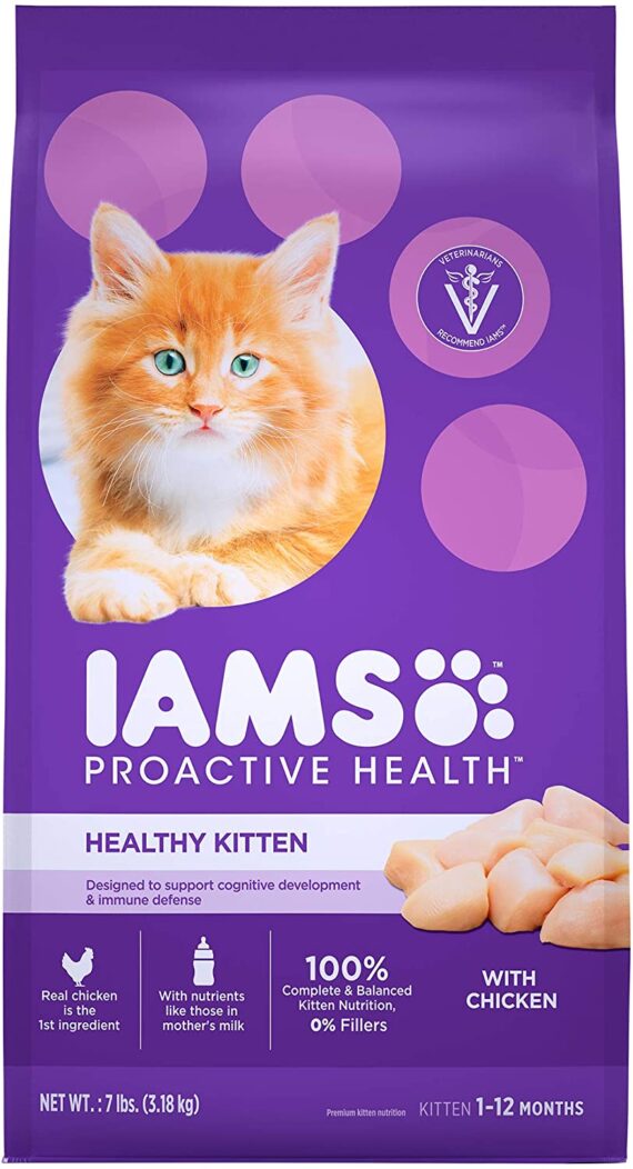 Dry Cat Food Chicken Iams Proactive Health Kitten Dry Cat Food Chicken Recipe