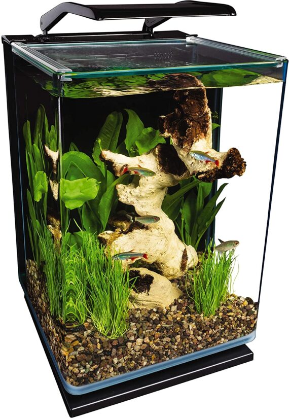 Marineland Portrait Glass aquarium Marineland Portrait Glass LED aquarium Kit, 5 Gallons, Hidden Filtration