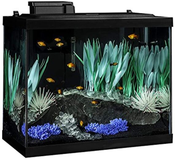 Aquarium Includes LED Lighting Tetra ColorFusion Aquarium 20 Gallon Fish Tank Kit, Includes LED Lighting and Décor