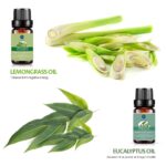 Lagunamoon Essential Oils Top Gift Set Pure Essential Oils for Diffuser, Humidifier, Massage, Aromatherapy, Skin & Hair Care