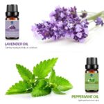 Lagunamoon Essential Oils Top Gift Set Pure Essential Oils for Diffuser, Humidifier, Massage, Aromatherapy, Skin & Hair Care