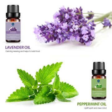 Lagunamoon Essential Oils Top Gift Set Pure Essential Oils for Diffuser, Humidifier, Massage, Aromatherapy, Skin & Hair Care